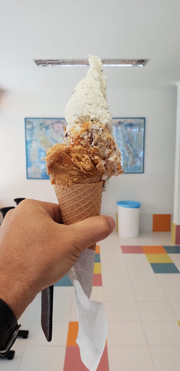 Heladeria Arlecchino Photos 9
