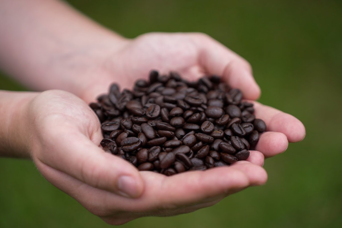 Hilo Coffee Mill Photos 9