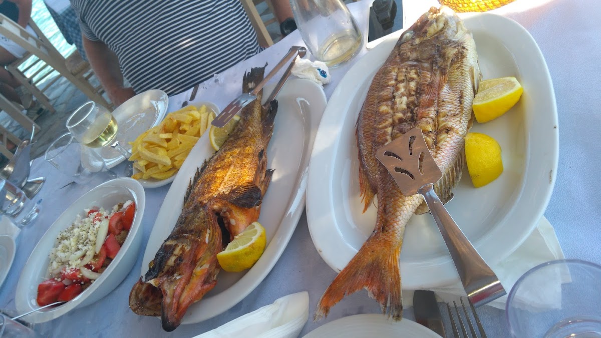 Hiona Taverna Photos 9