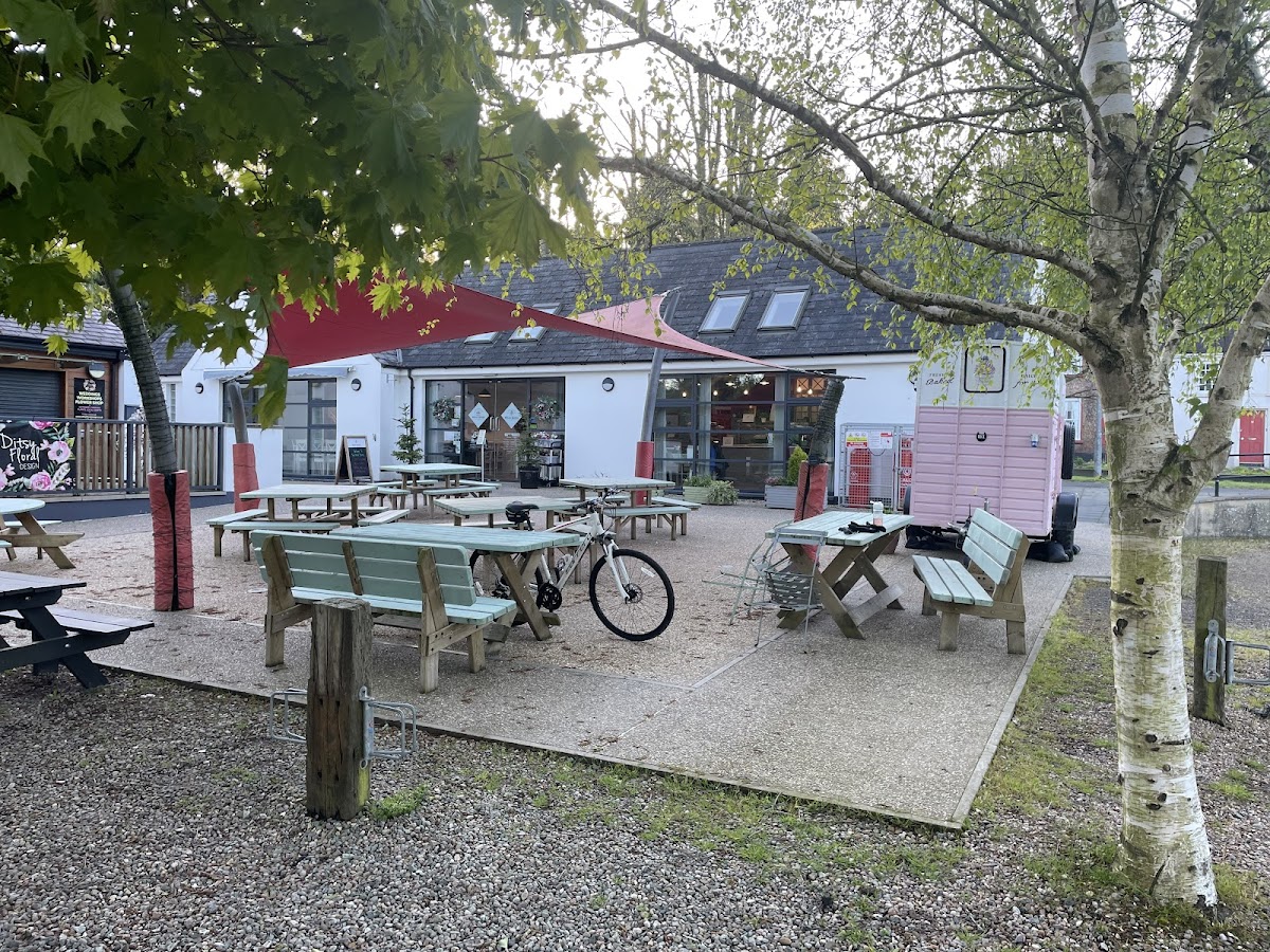 Hollie Berrie Tea Room