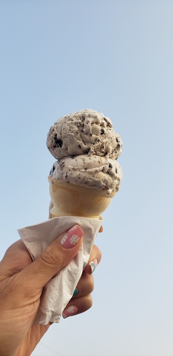Holy Cows Ice Cream Photos 9