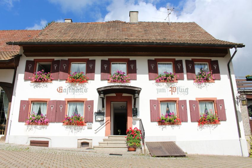 Hotel-Landgasthof Zum Pflug Photos 2