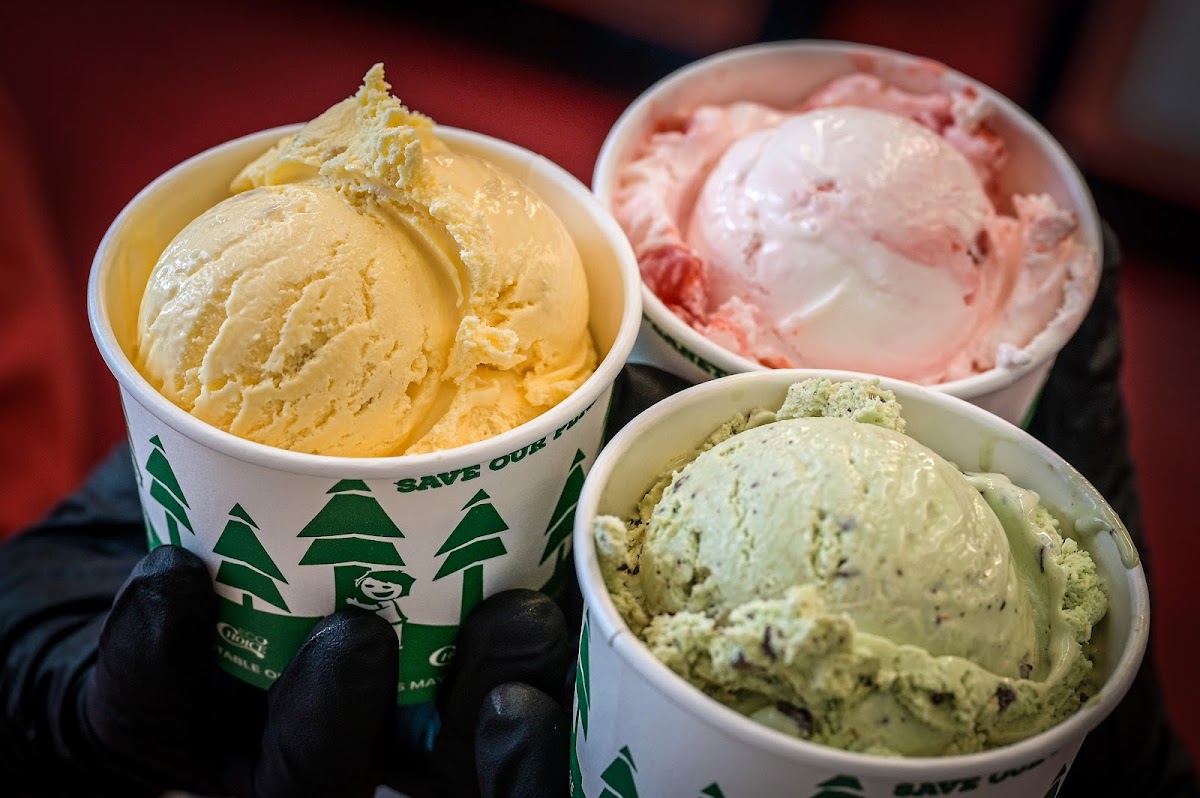 Howling Cow Dairy Education Center And Creamery Photos 2