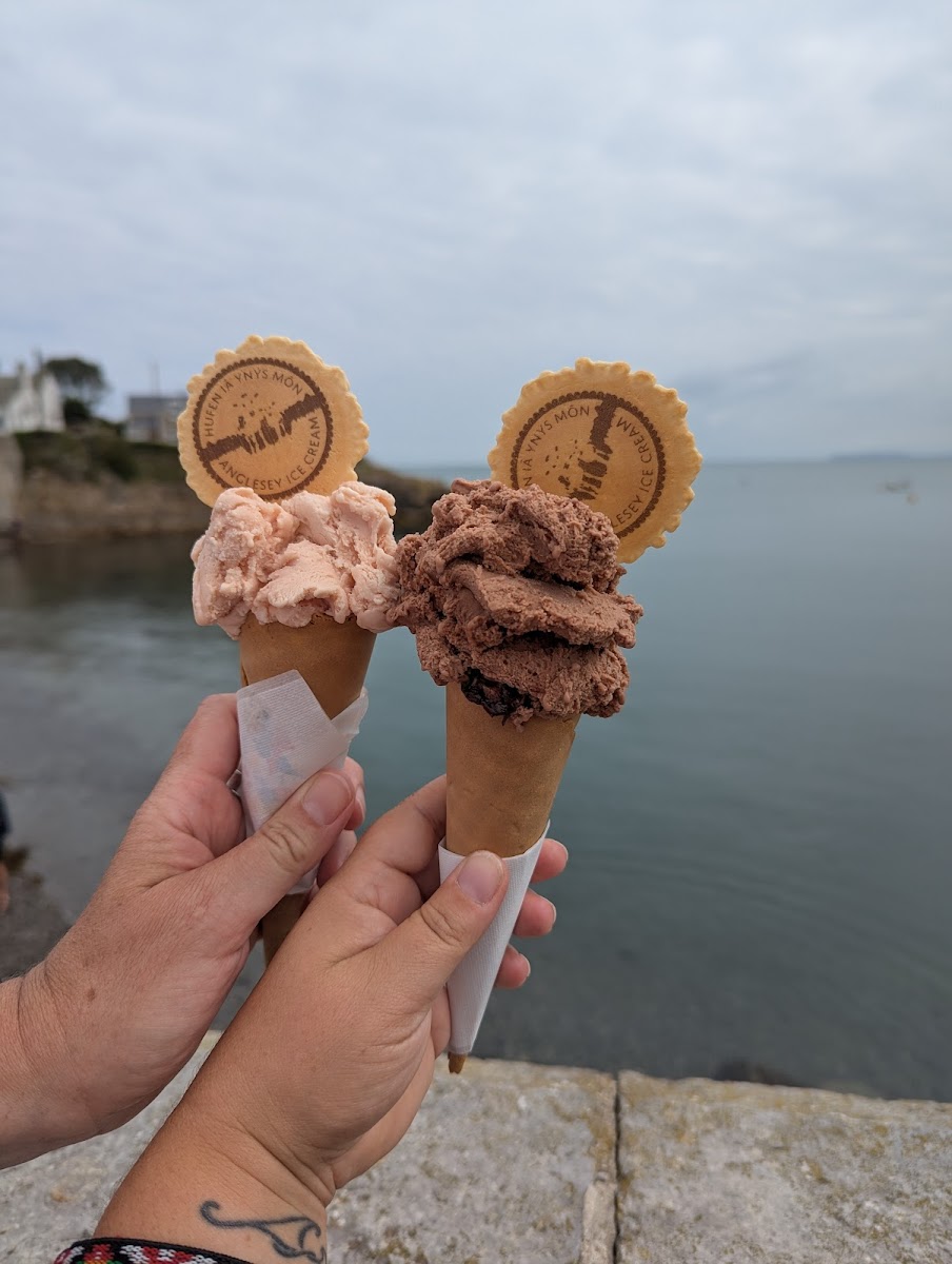 Hufen Iâ Ynys Môn Anglesey Ice Cream Photos 2