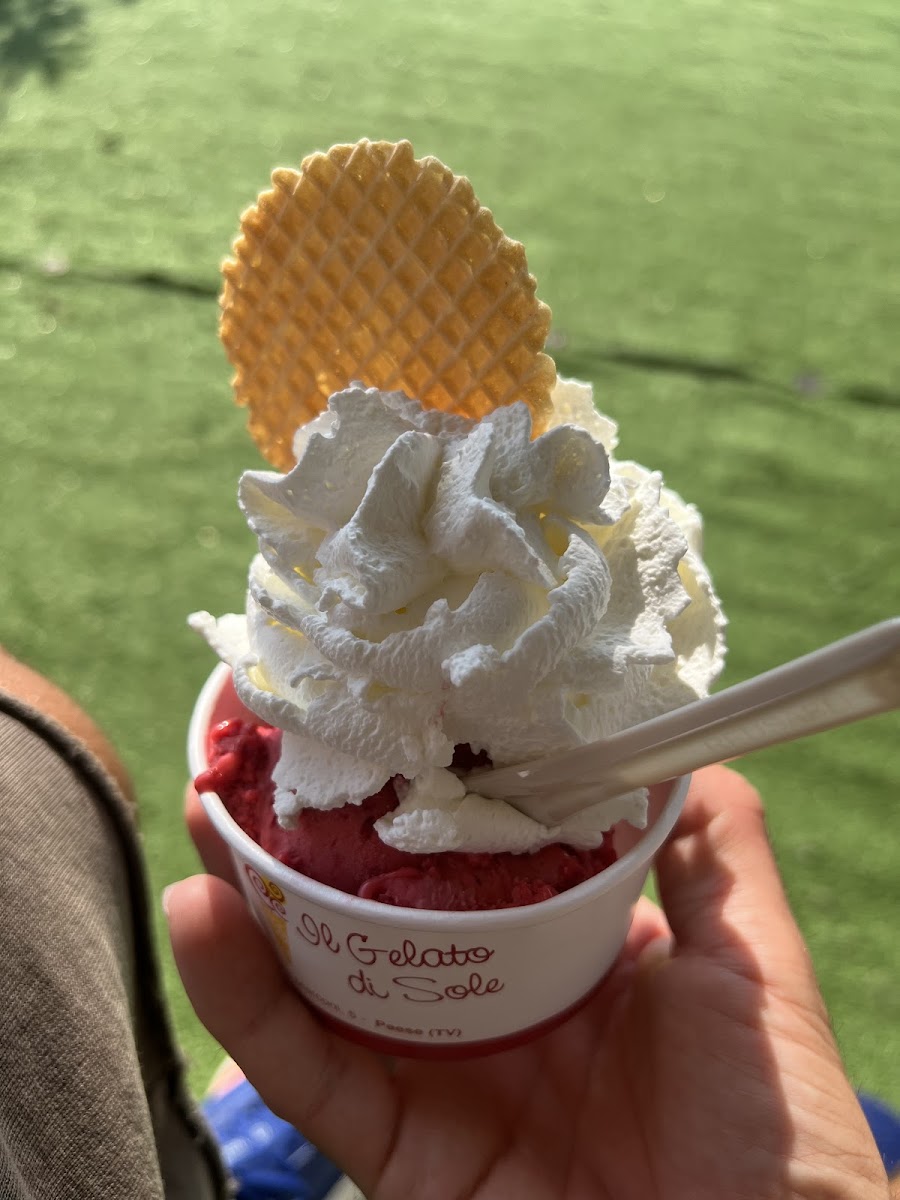 Il Gelato Di Sole Photos 9