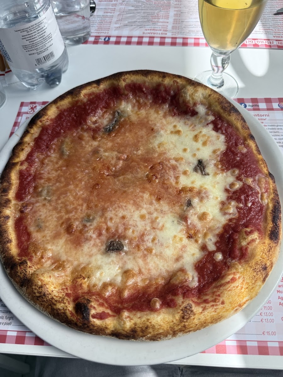 Il Grifo