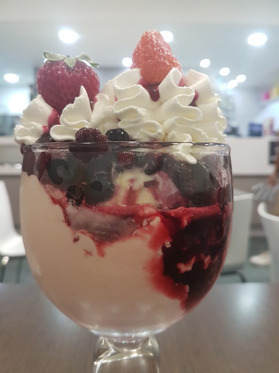 Italian Ice Cream Parlor Monalisa Photos 9