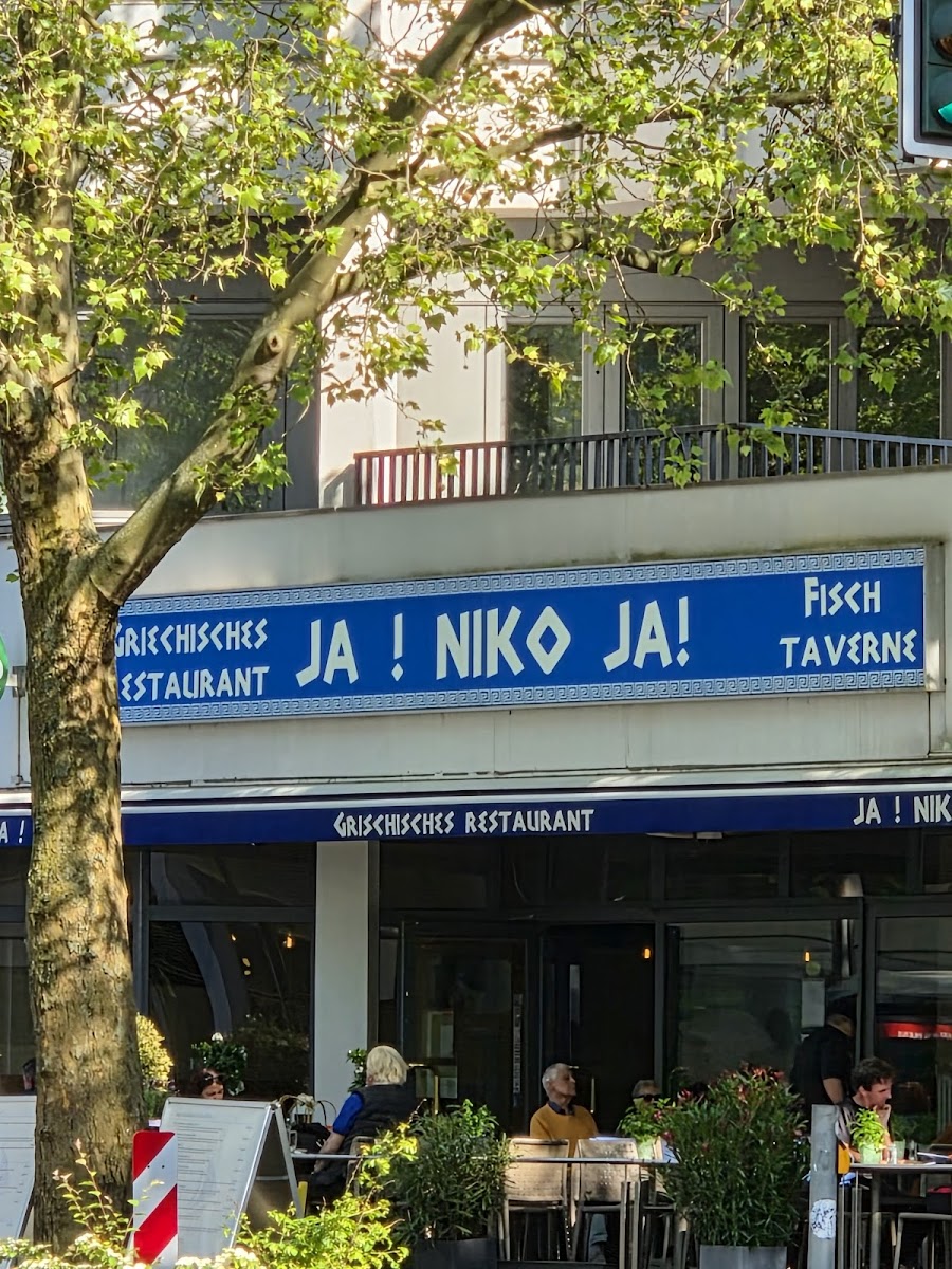 Ja! Niko Ja! Photos 2