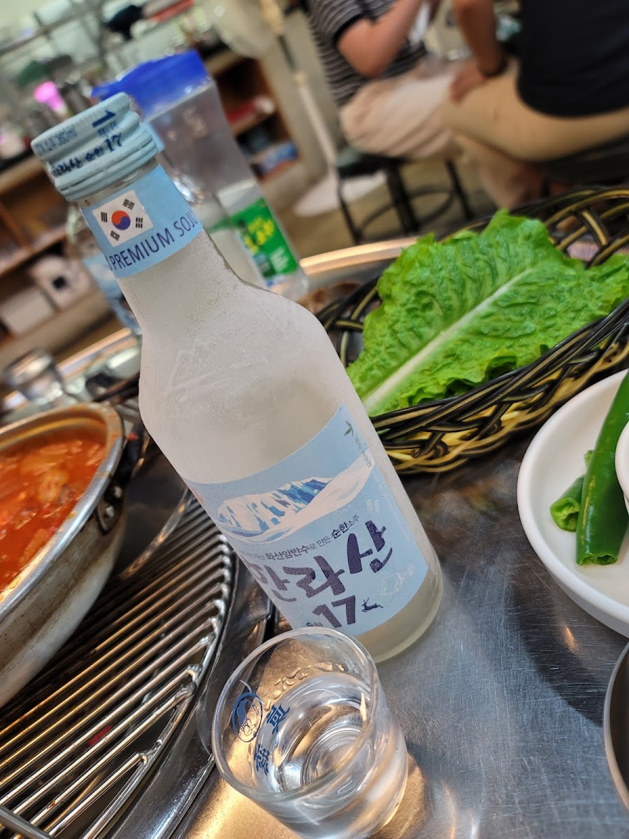 Jeju Dot Photos 9