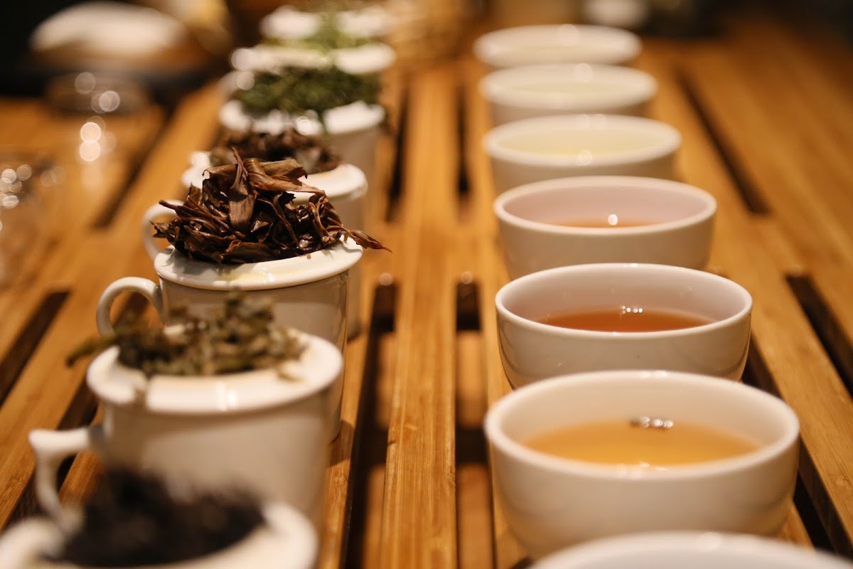 Jojo Tea Photos 2
