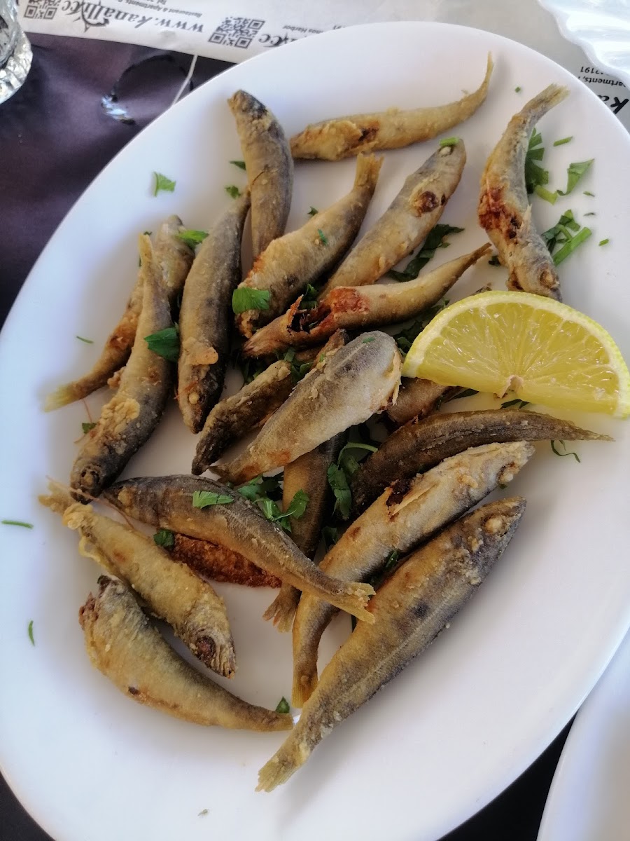 Kanalli Restaurant Photos 9