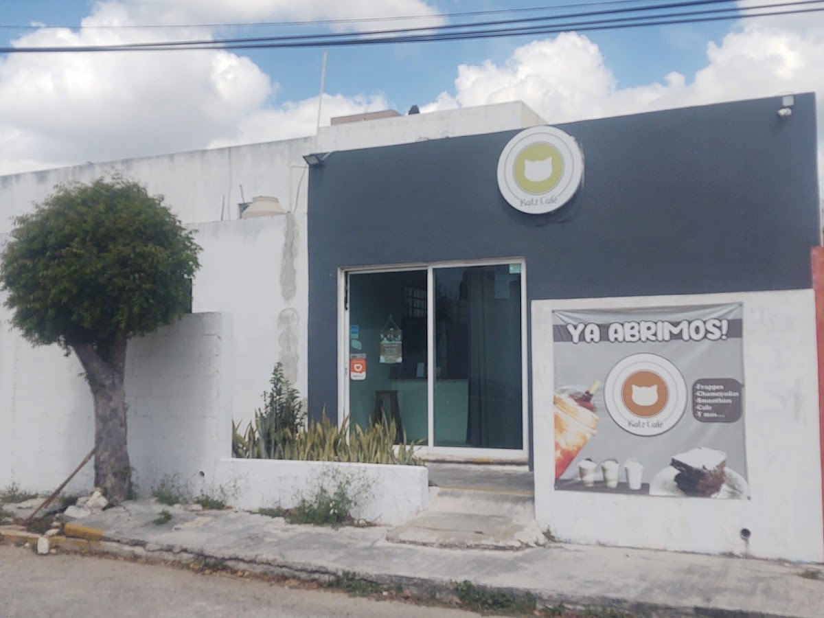 Katz Café