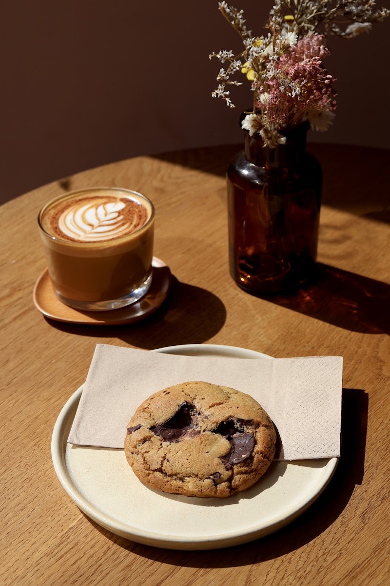 Komodo • Specialty Coffee Brewers Photos 2