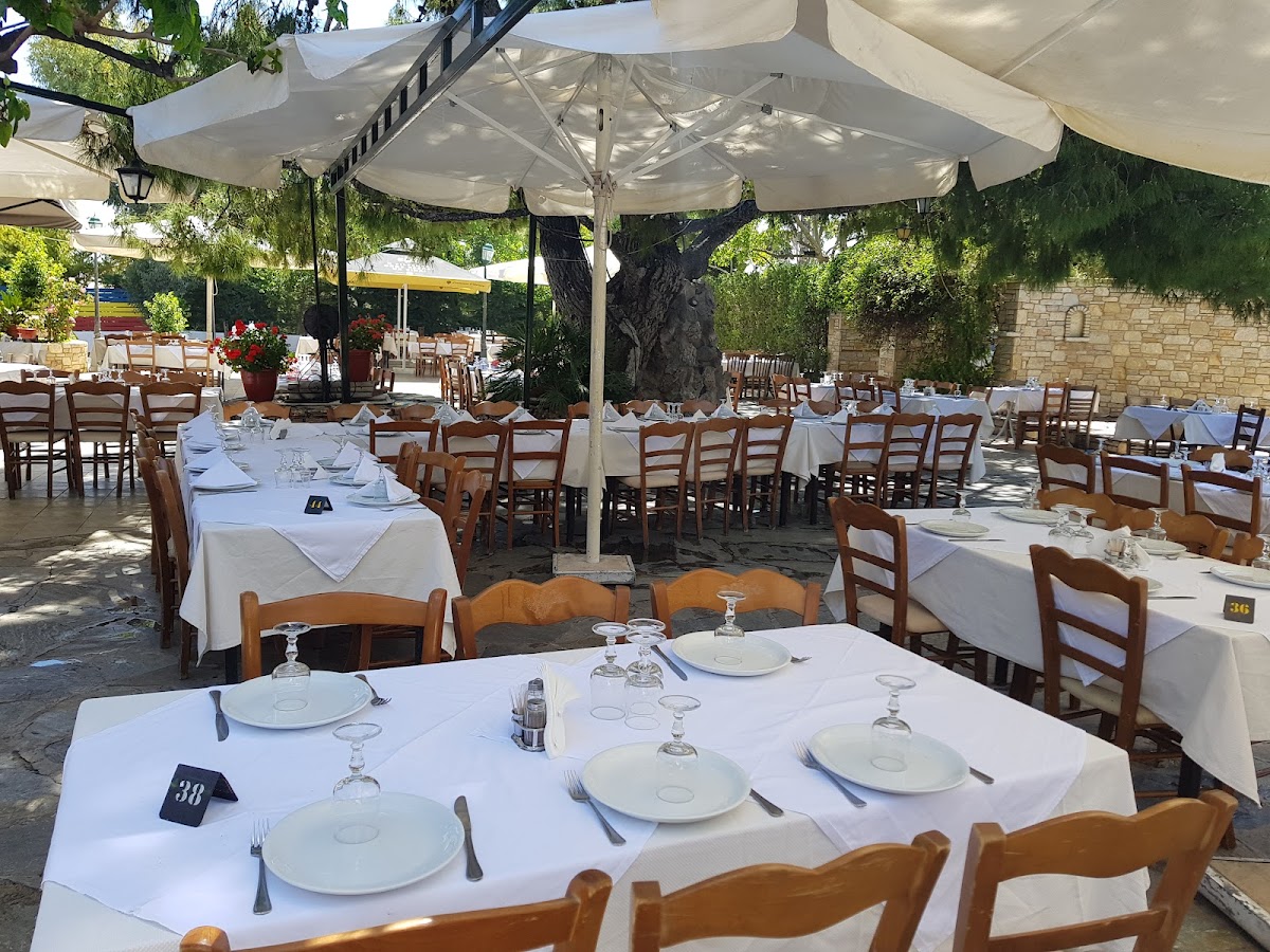 Krokos Restaurant Nest