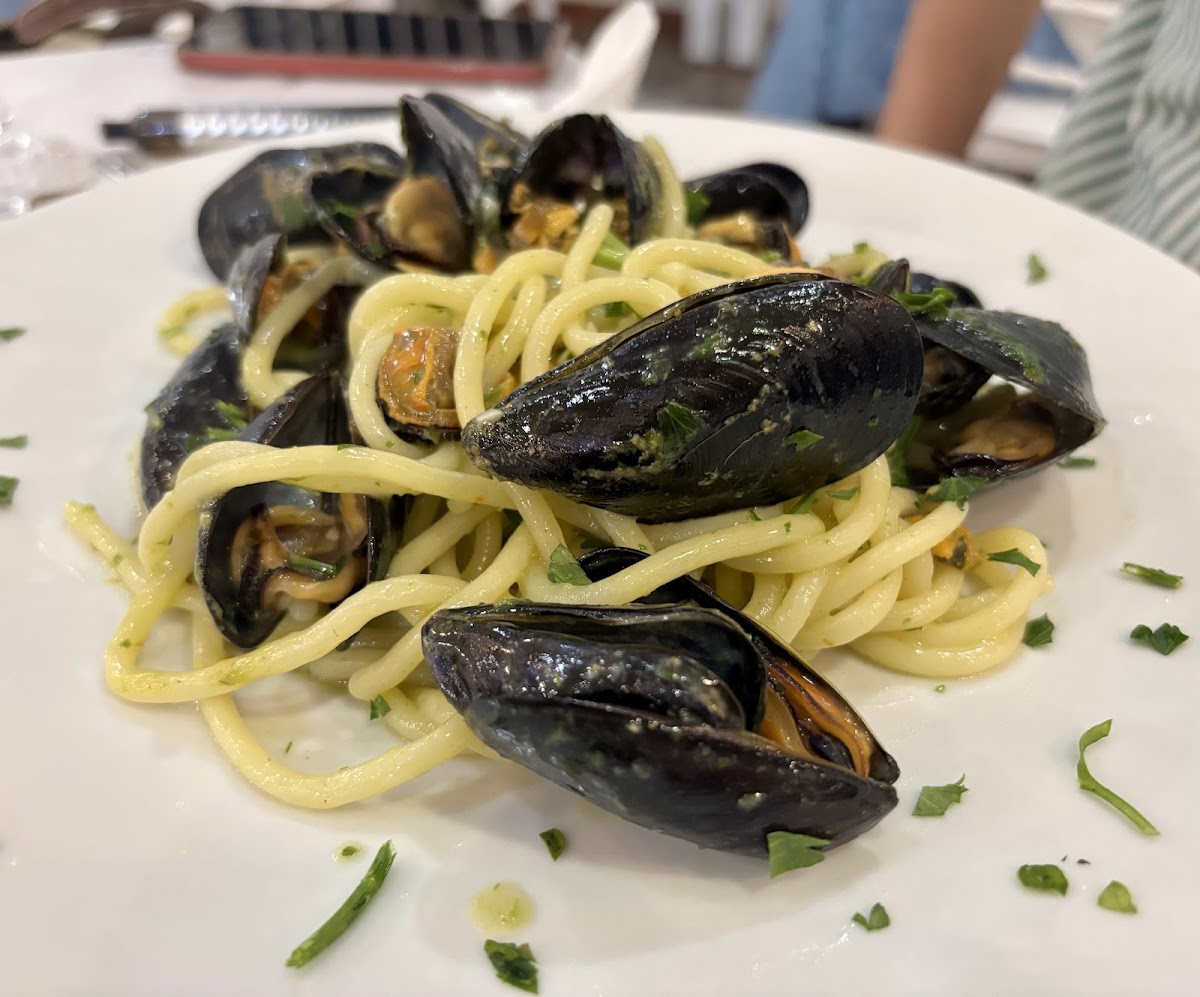 La Conchiglia Photos 2