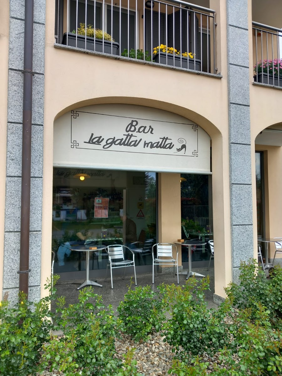 La Gatta Matta
