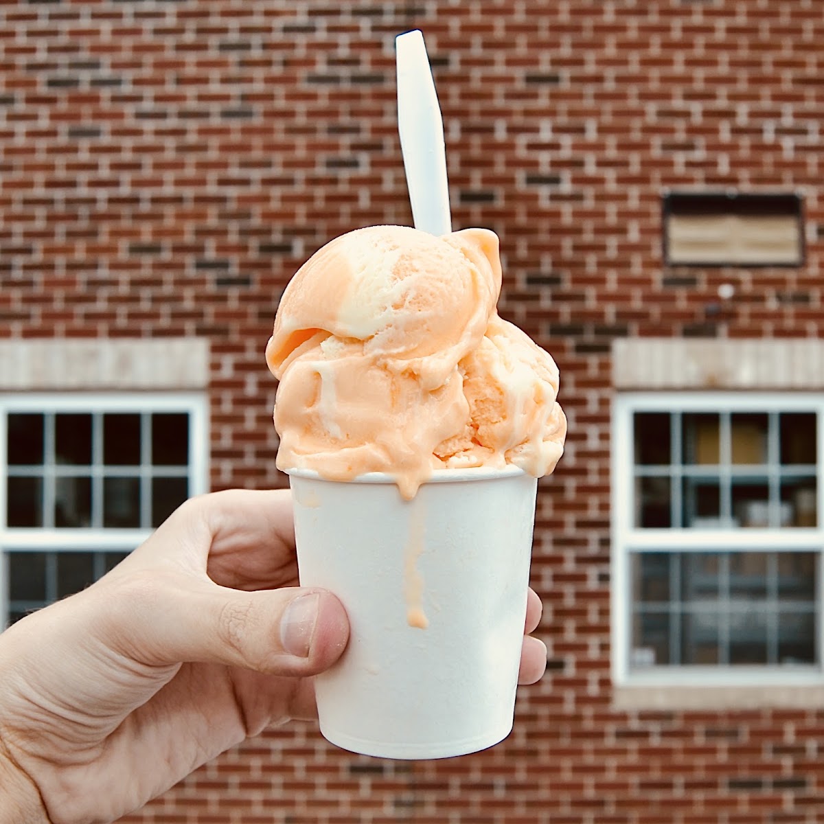 Lakeside Eats And Treats Photos 2