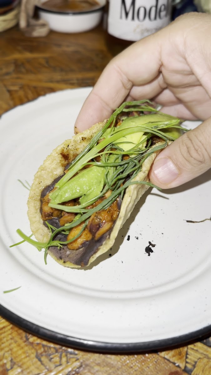 Las Tlayudas, Comida Casual Oaxaqueña