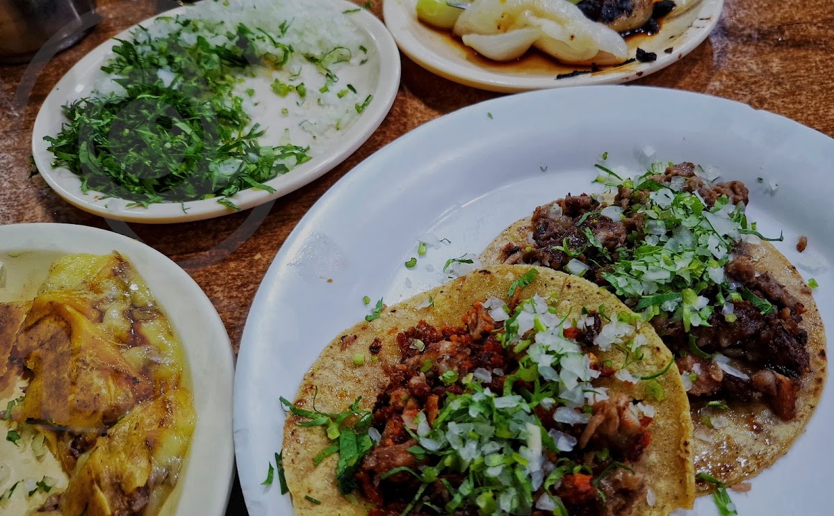 Latosos Tacos Fuentes De Satélite Photos 2