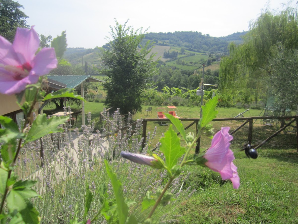 Le Spighe Agriturismo Fattoria Bertaccini Photos 2