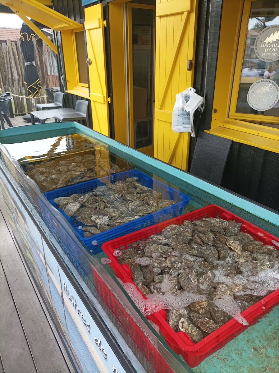 Les Richesses D'arguin Photos 2