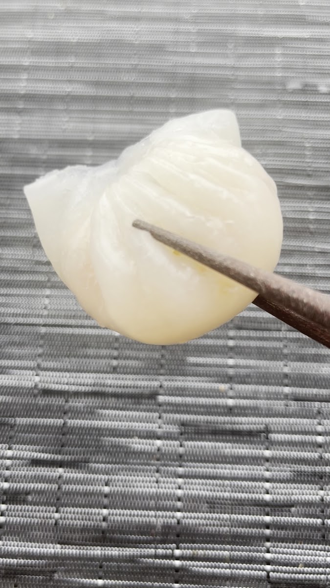 Lily Dim Sum Photos 2