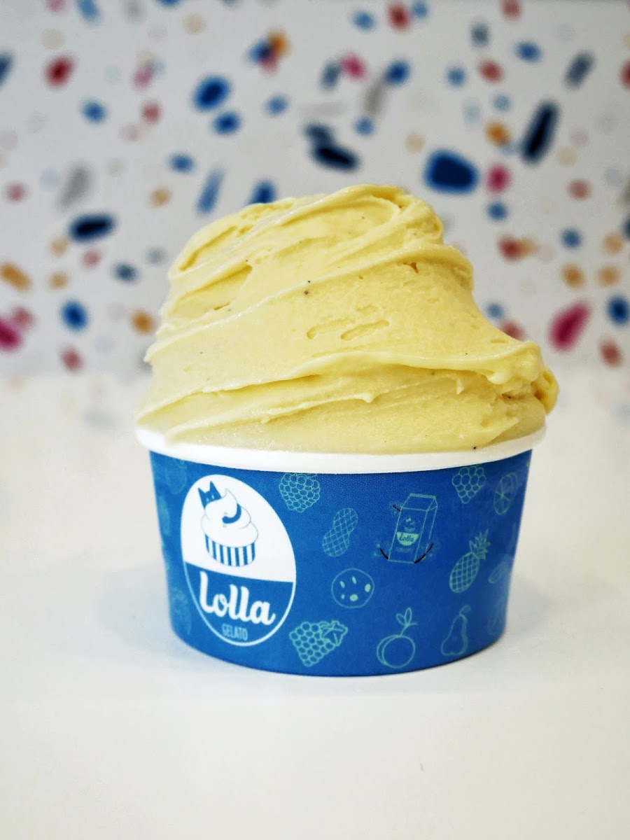 Lolla Gelato Photos 2
