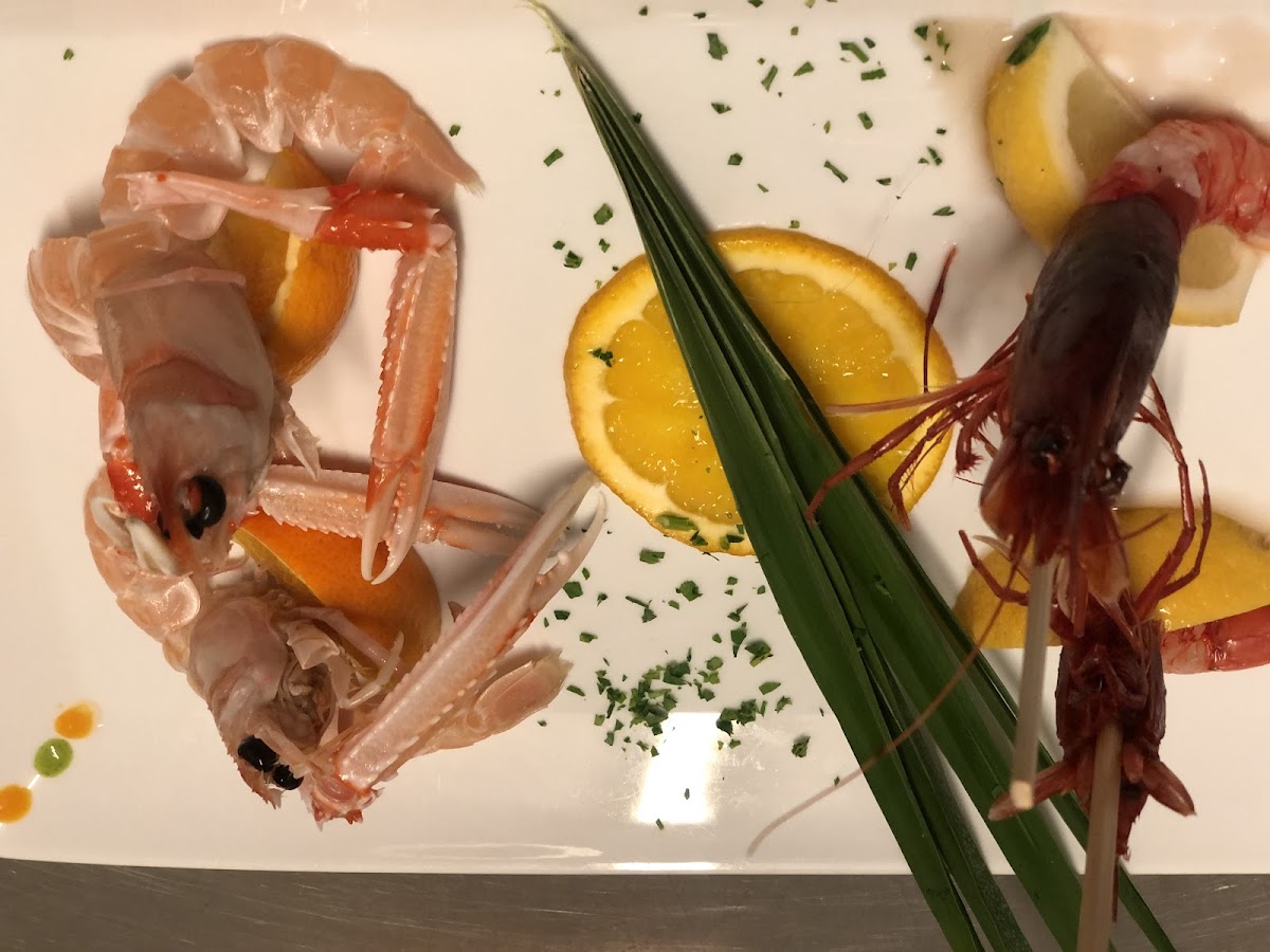 Lopana - Fish & Drink Photos 2