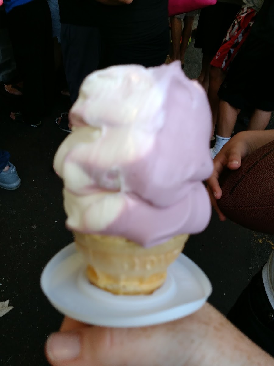 Lugia's Ice Cream Photos 9