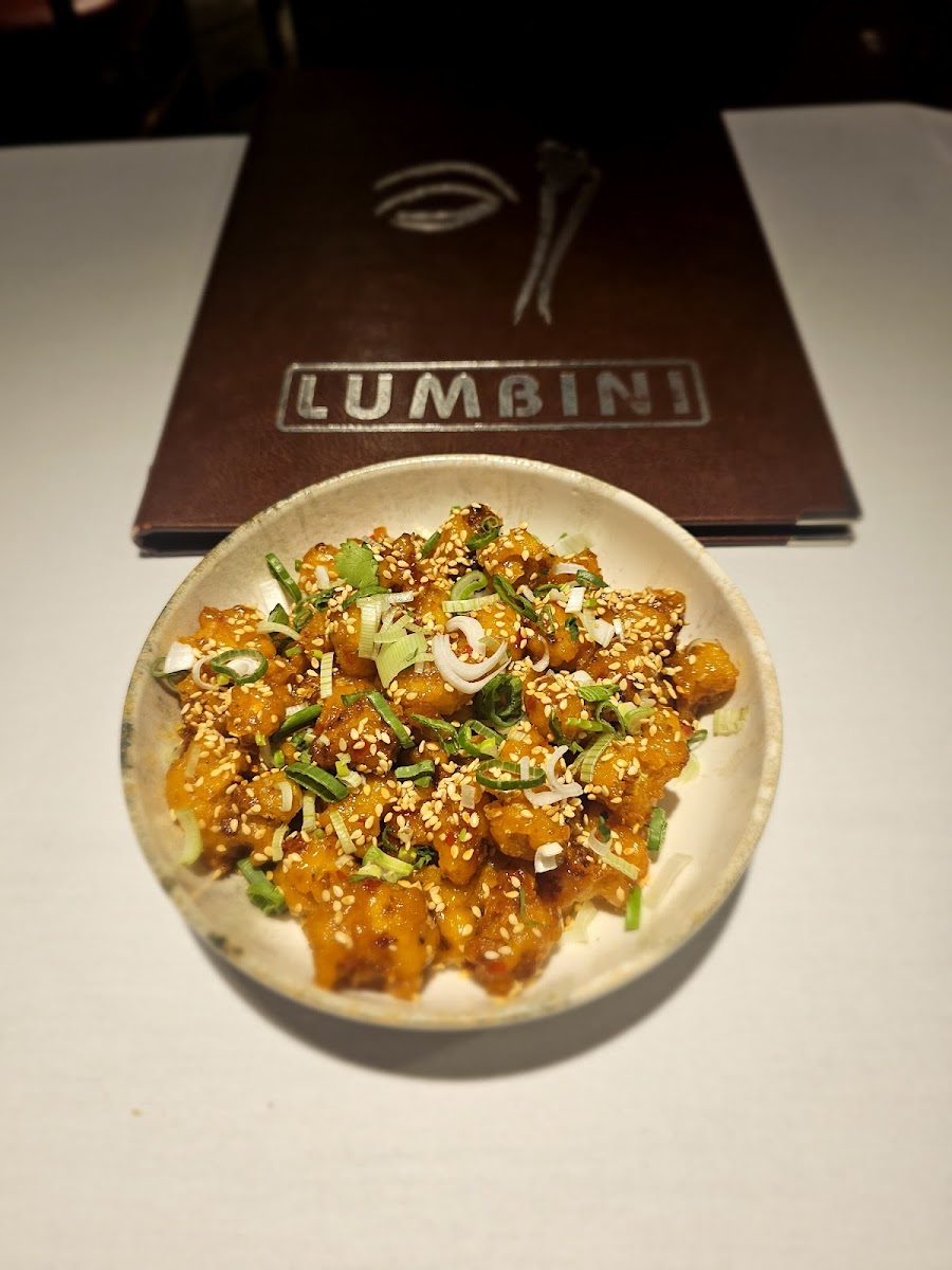 Lumbini Nepalese Restaurant, Flackwell Heath Photos 2