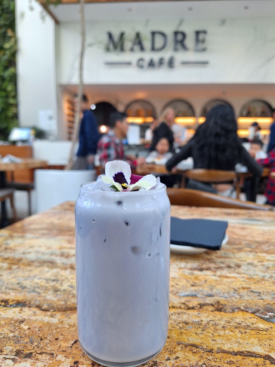 Madre Cafe Photos 9