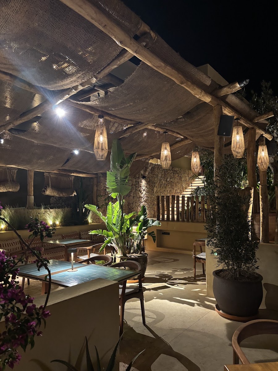 Madunia Ibiza Restaurant Photos 2