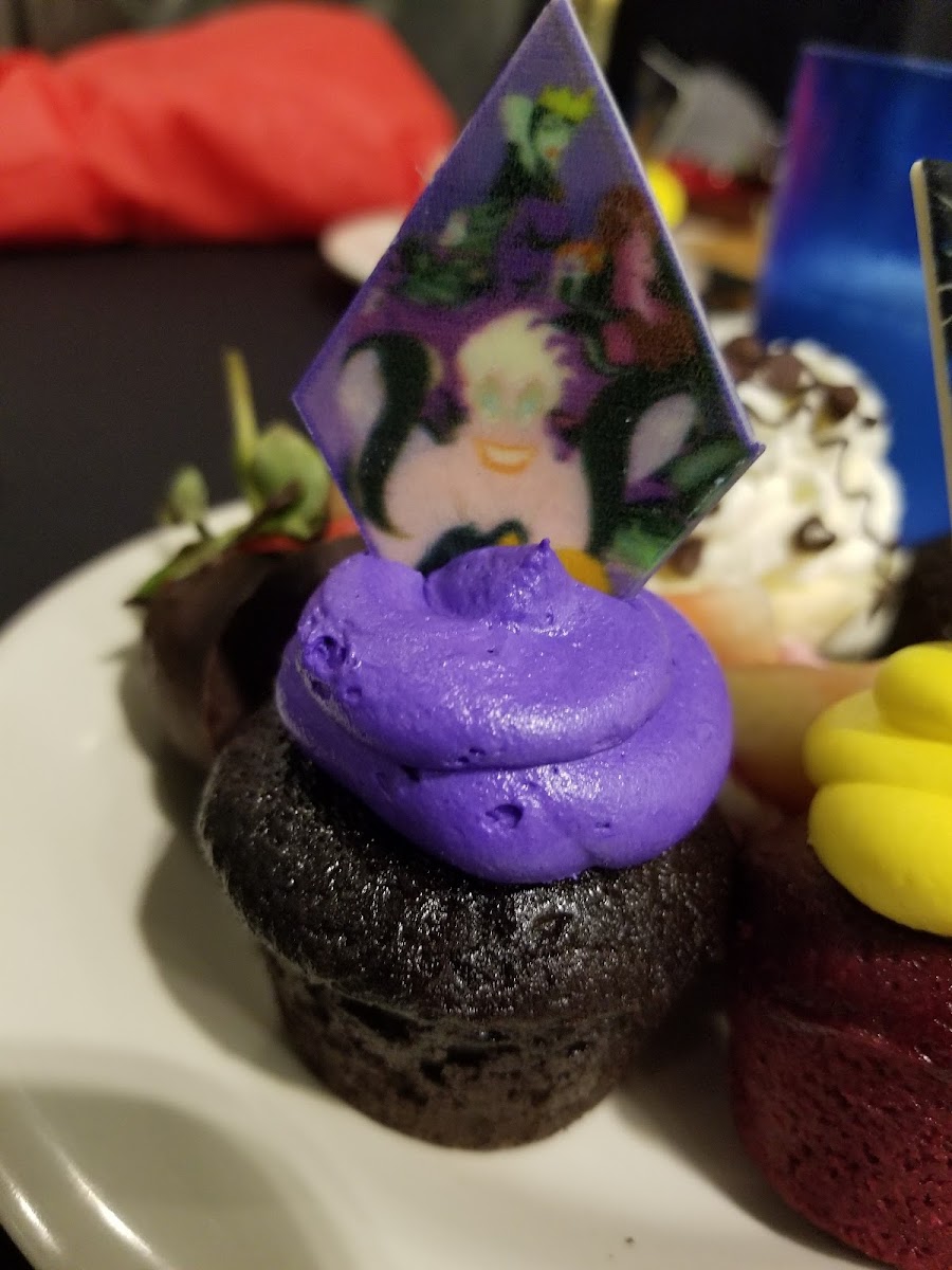 Magic Kingdom Fireworks Dessert Party Photos 9