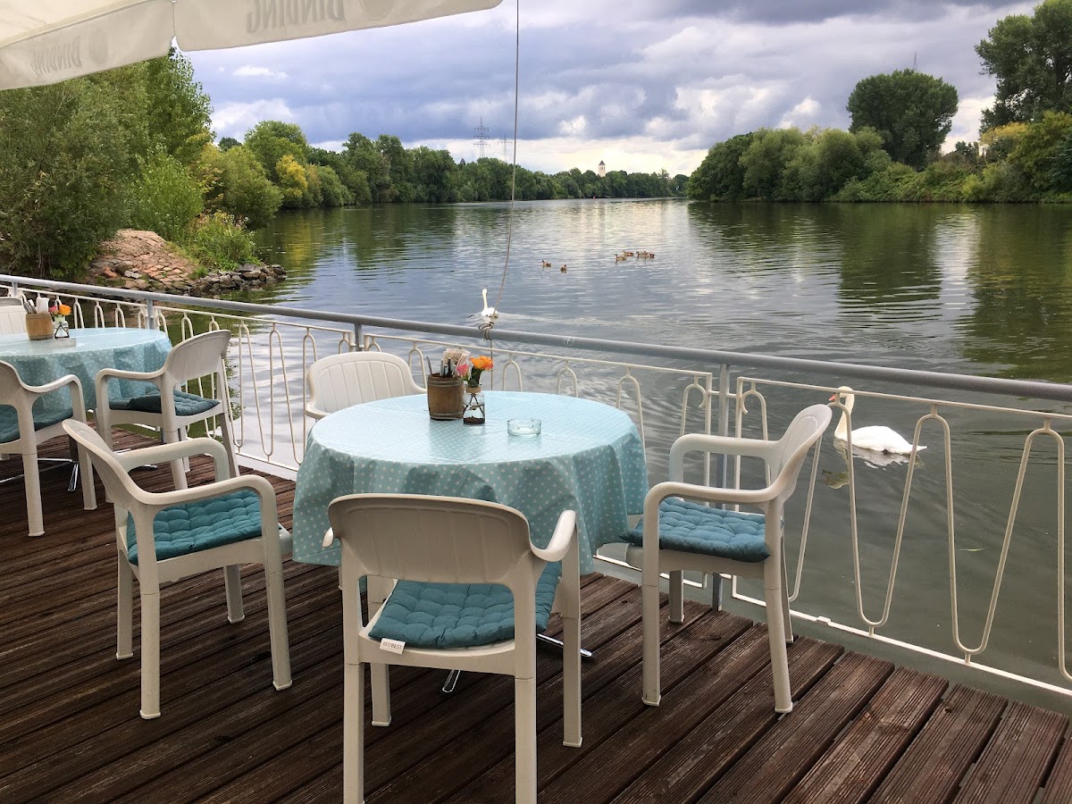 Mainod - Café Restaurant Hotel - Das Schwimmende Kleinod