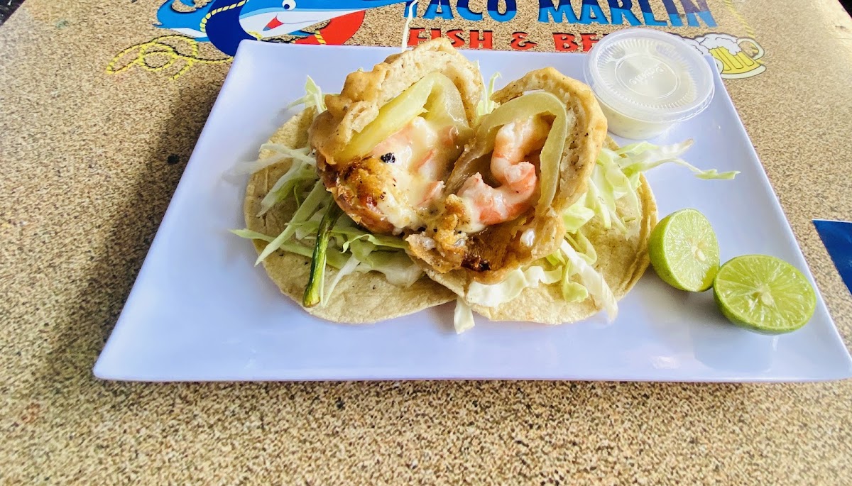 Marlin Fish & Beer Photos 2