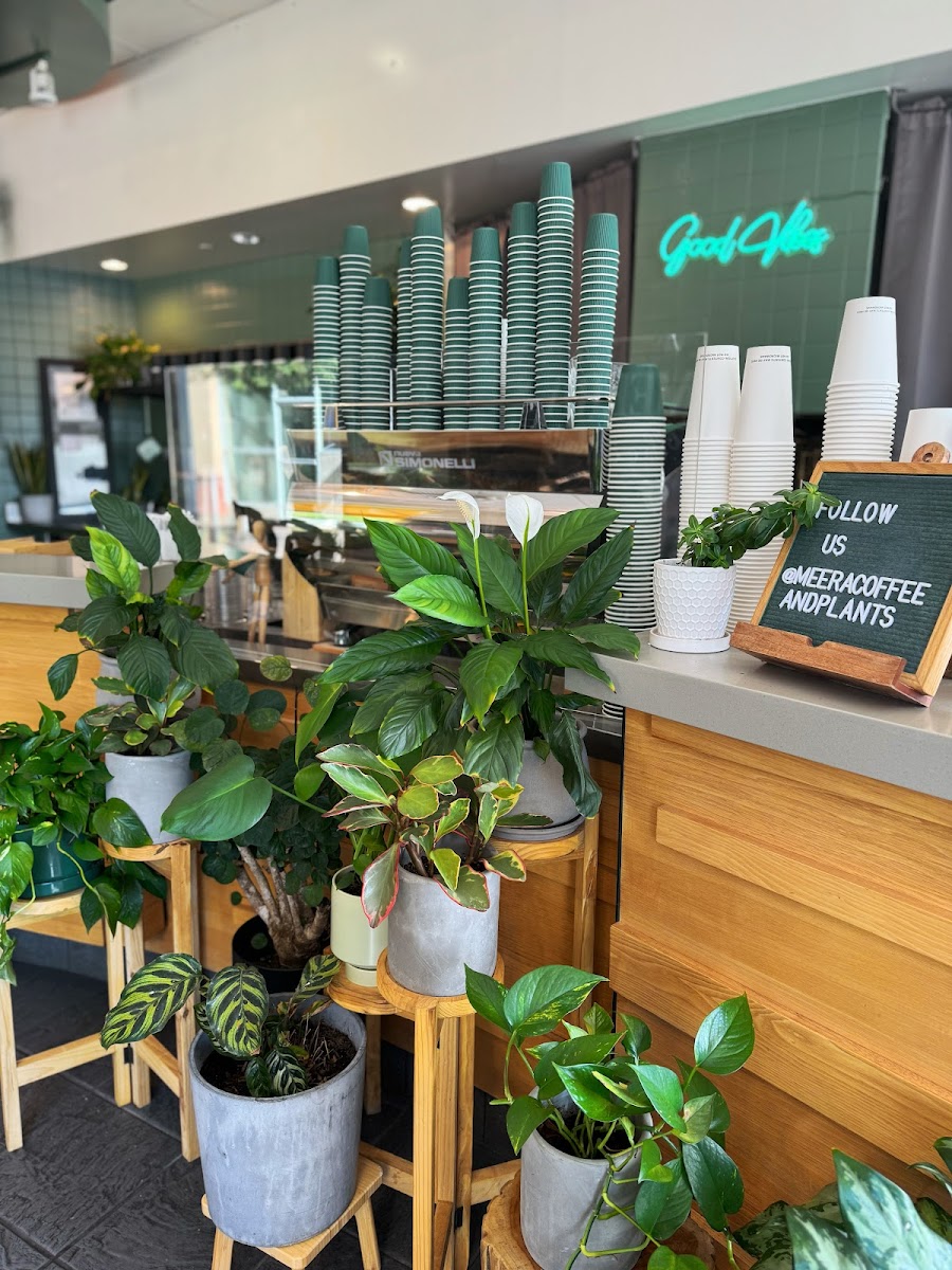 Meera: Coffee & Plants Photos 2
