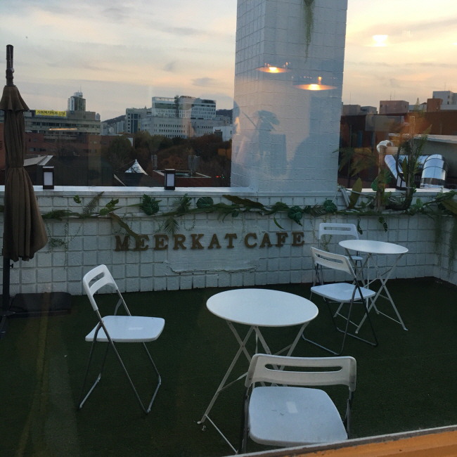 Meerkat Park