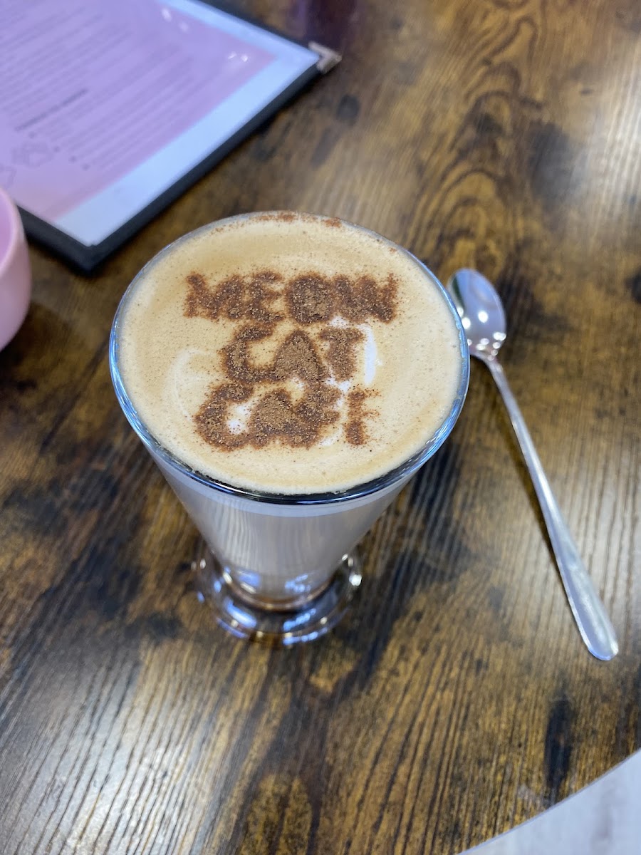 Meow Cat Café Essex Photos 2