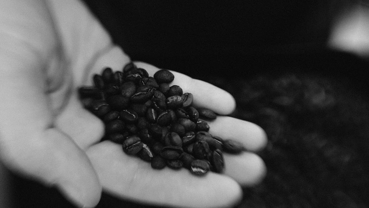 Meraki Roasting Co.