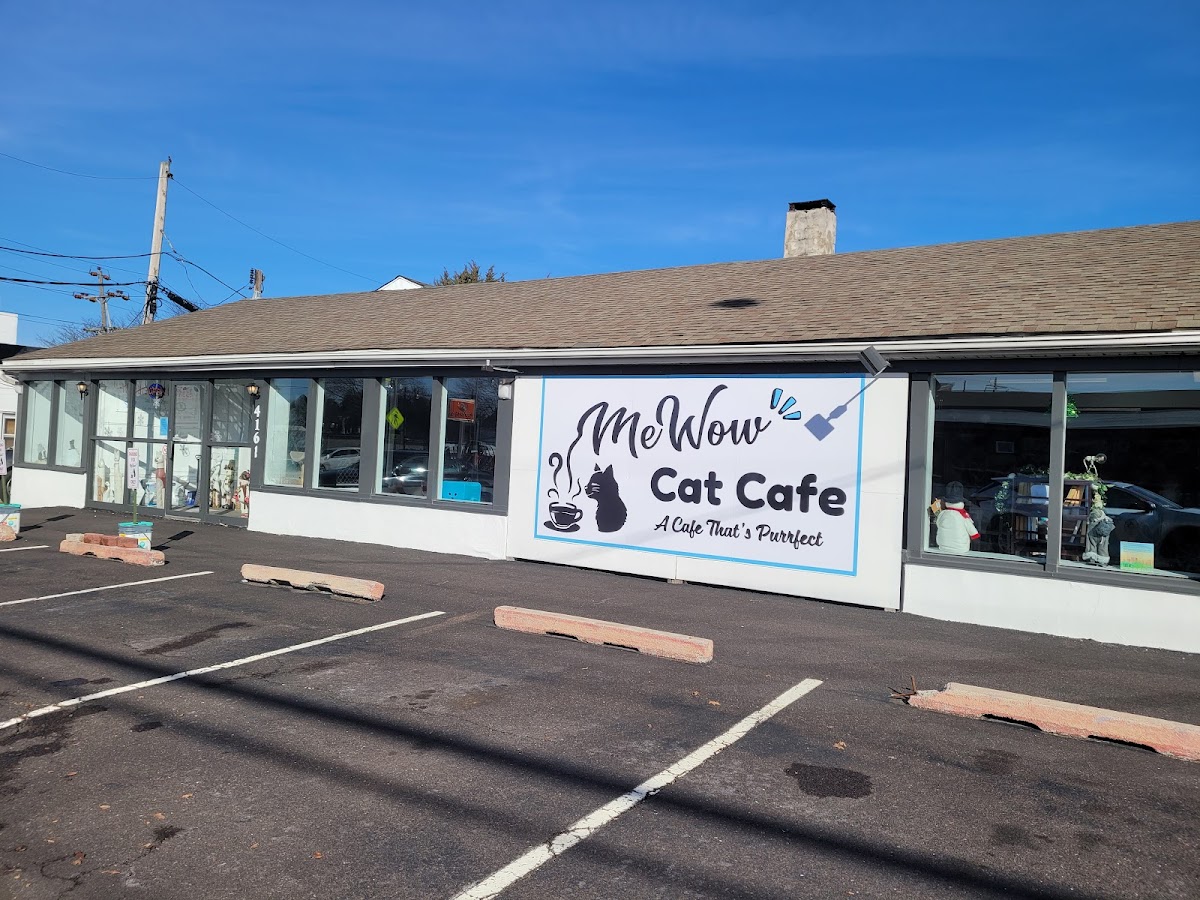 Mewow Cat Cafe
