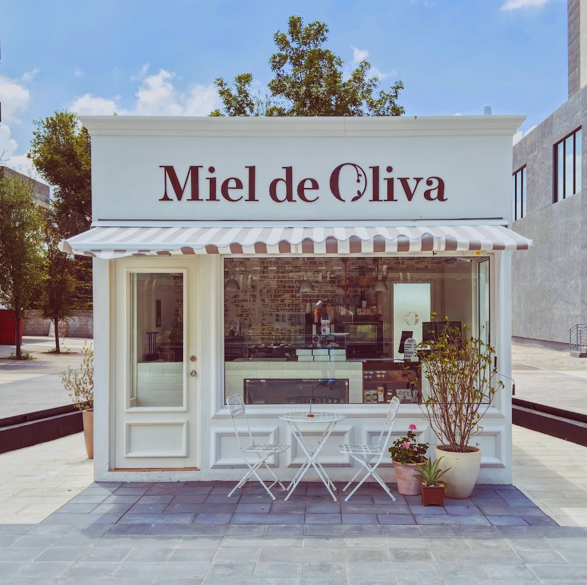 Miel De Oliva