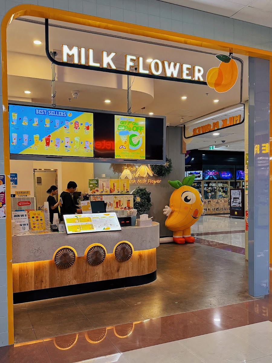 Milk Flower