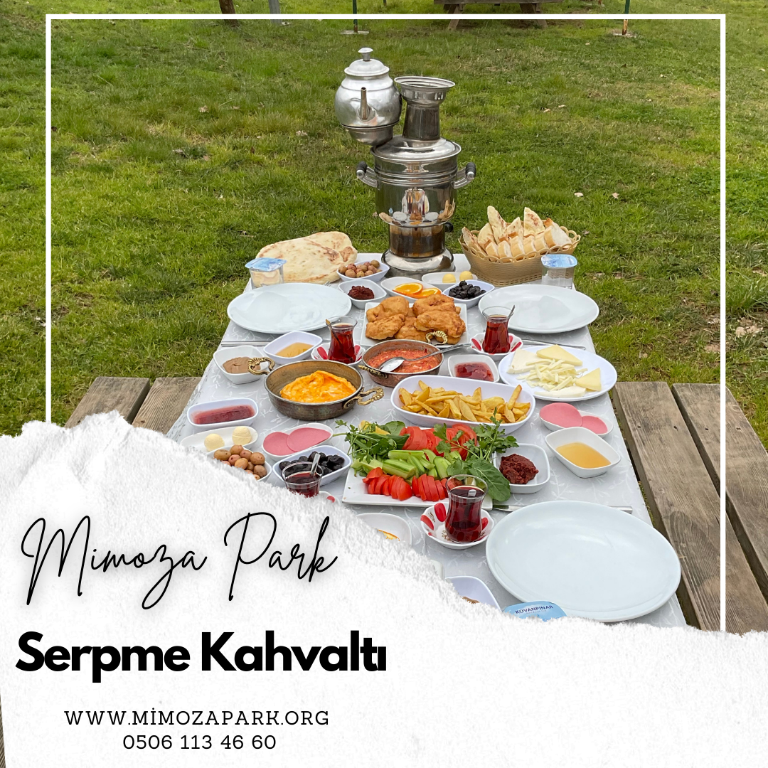 Mimoza Park Piknik Alanı Photos 2