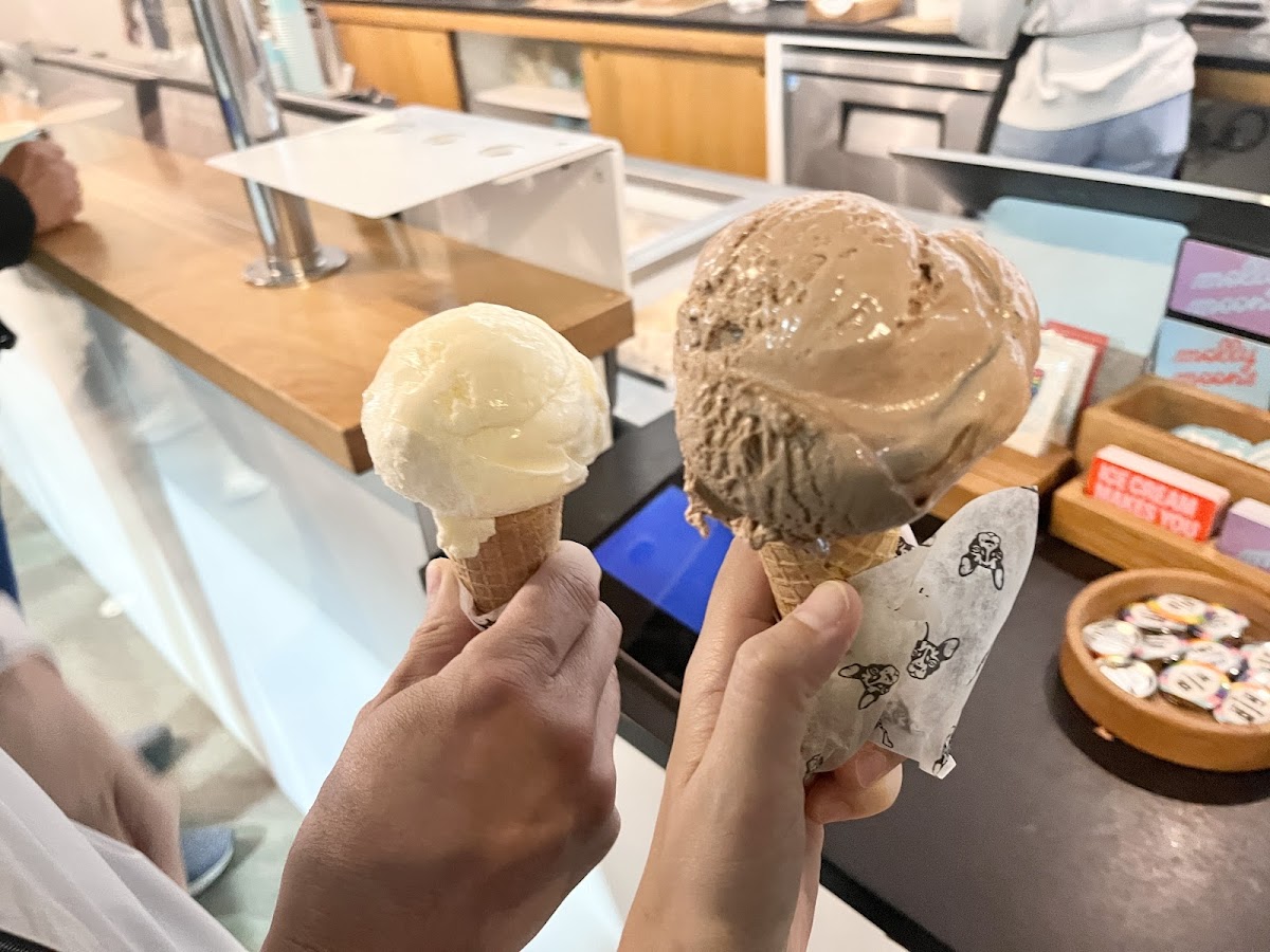 Molly Moon's Homemade Ice Cream Bellevue Photos 2