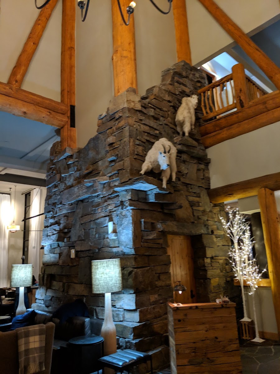Moonlight Tavern Photos 2