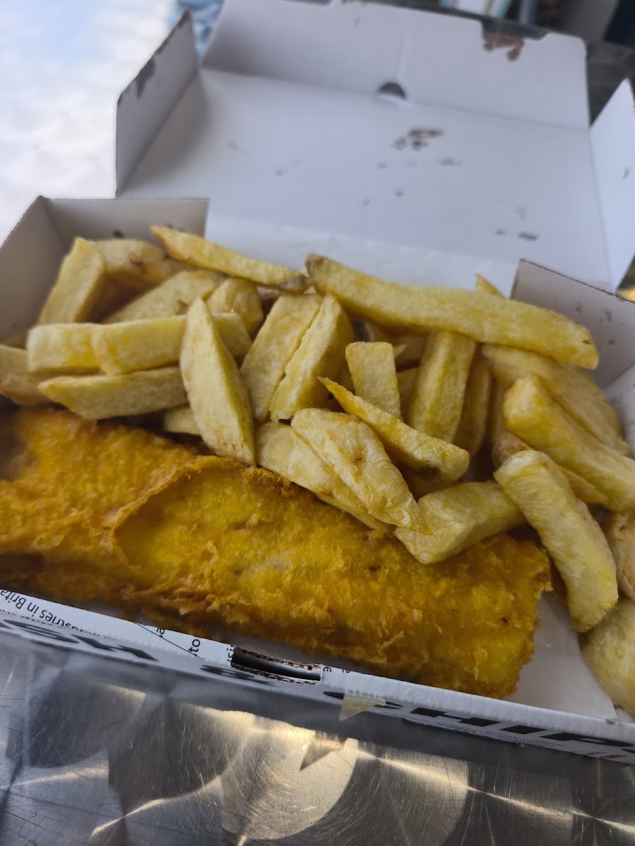 Mr Fish Photos 2