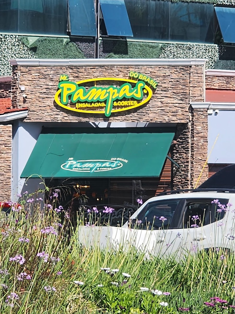 Mr. Pampas Juárez