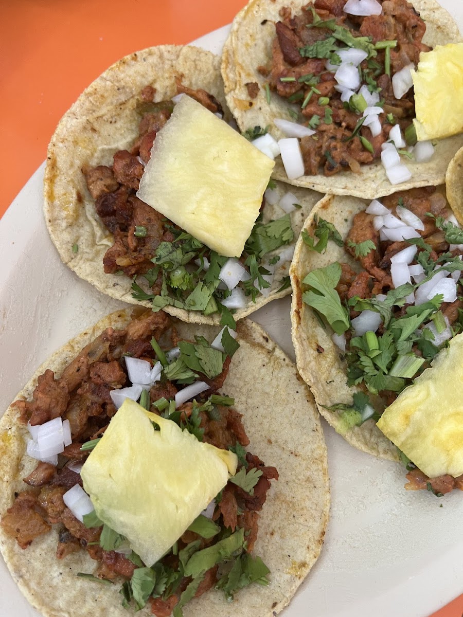 Mr. Taco Photos 2