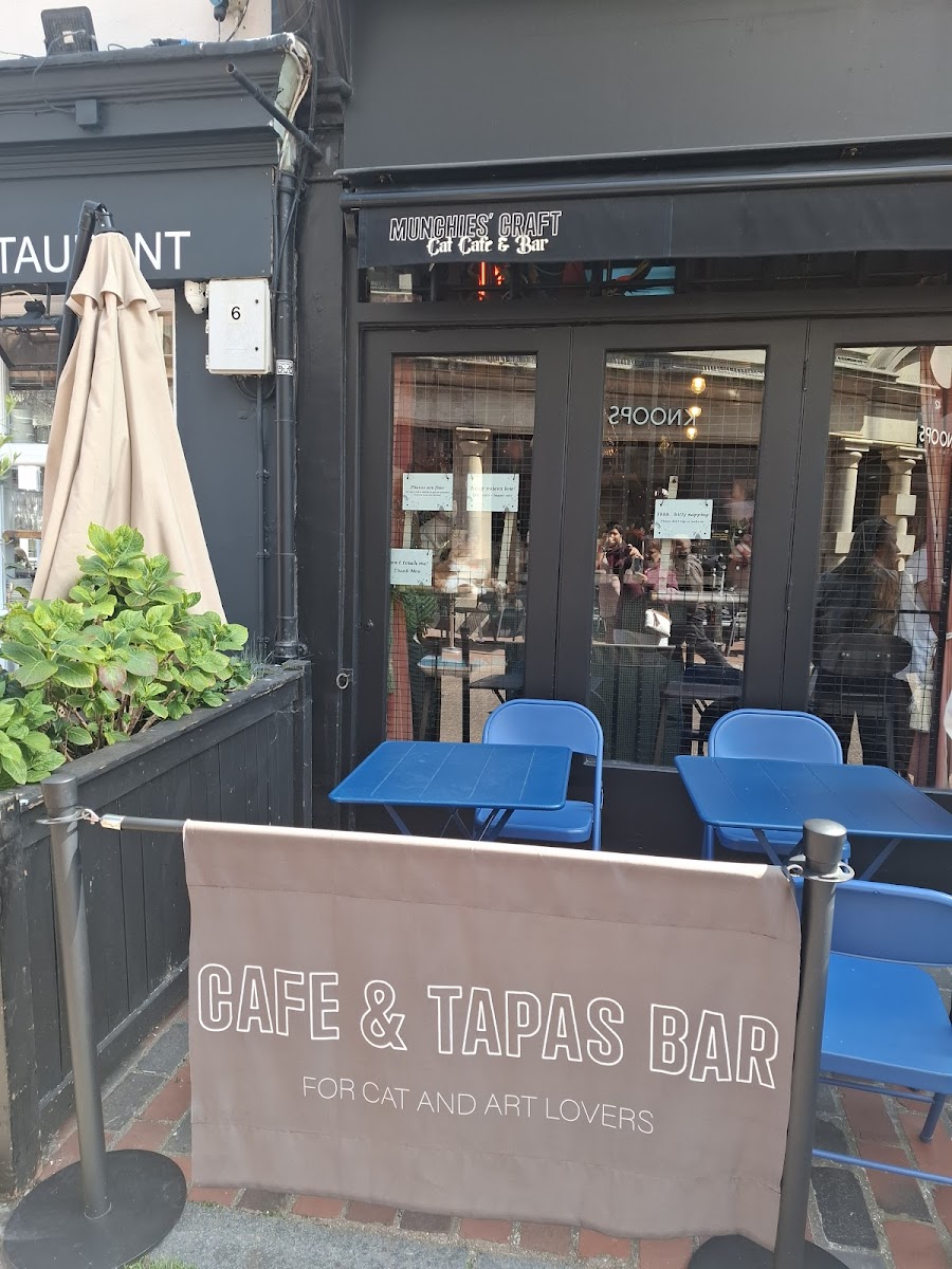 Munchies' Craft | Cat Cafe & Bar