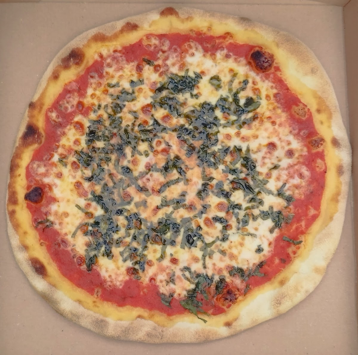 Nath Pizza Photos 2